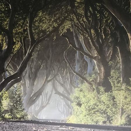 Dark Hedges Cottage บัลลีคาสเซิล ภายนอก รูปภาพ