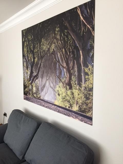 Dark Hedges Cottage บัลลีคาสเซิล ภายนอก รูปภาพ